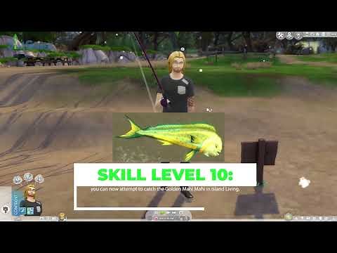 Fishing Guide Sims 4 - All You Need To Know