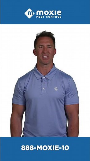 Why Moxie Pest Control Is Different | Pest Control with Kindness & Heart 💚