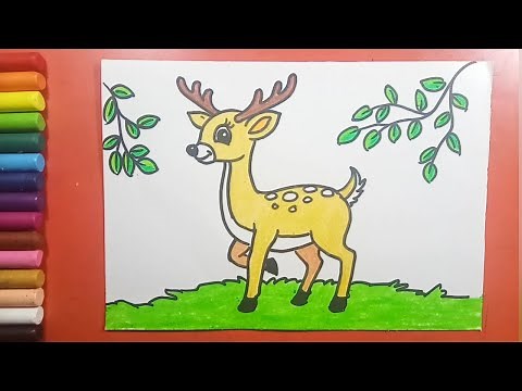 Easy and simple Deer Drawing