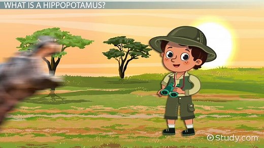 What Do Hippos Eat? - Lesson for Kids