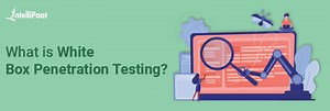 What is White Box Penetration Testing?