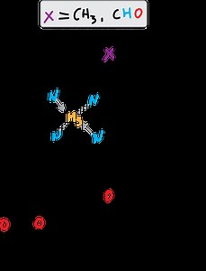Separation of pigments from spinach leaves (spinach chromatography) | Chemistry Online