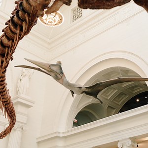 Go ahead. Catch Earth’s highlight reel (and add it to yours). | Field Museum