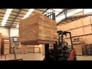 Manufacturing plywood boards