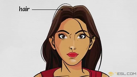 Part of the Face in English • 7ESL