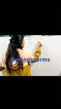 Gymnosperms!!!! Class 11 Ncert Chapter 3 Plant Kingdom #neet #biology #ncert #trending #viral #reels