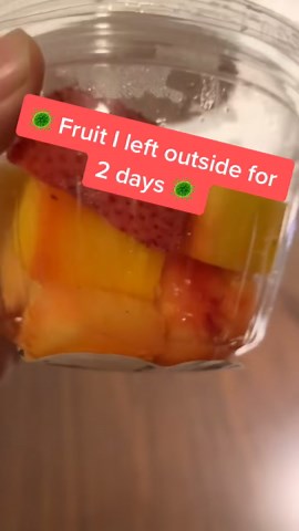 Up Close with Bacteria: Microscope Exploration