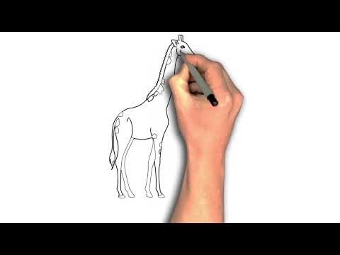 “How to Draw a Giraffe: Step-by-Step Guide”