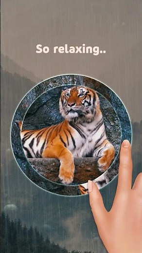 Magic Jigsaw Puzzles: Ring Puzzles Gameplay