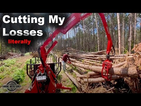 Forwarding Logs from Forest to Sawmill
