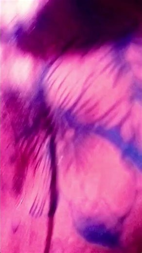 😈😈🤩 #horror #ghost #horrortok #music #horrorstories #halloween #viralvideos #viral #shortsfeed