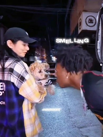 Speed vs Dog… Guess Who Won? 😂🐕