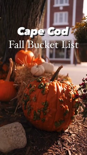 Fall Bucket List in Cape Cod: 10 Epic Things to Do