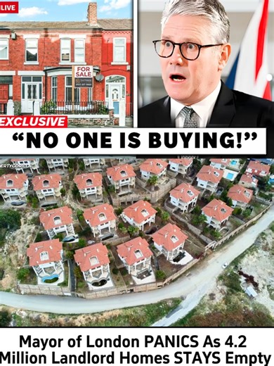 The Empty Homes Crisis in the UK: A Housing Paradox