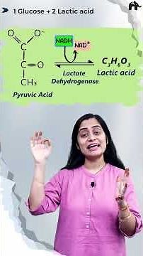 Lactic acid fermentation | Respiration in plants One shot video with Roshni Mam #conceptcrystalclear