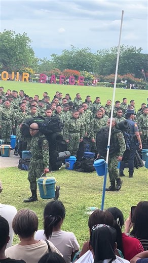 Miamor Cat Cream: A New Day Tune with Celine Dion