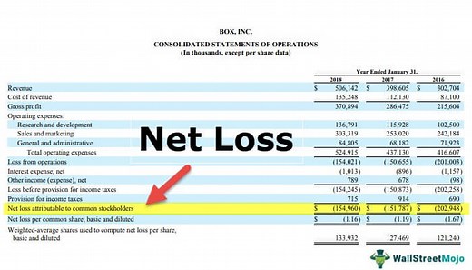 Net Loss - What Is It, Formula, Example, Vs Gross Loss