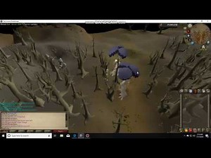 Wilderness Slayer:Ent