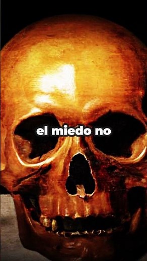 El momento en que el Gato con Botas entendió la vida 🐾💀 #peliculas #analisis #psicologia