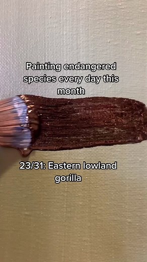 8 more paintings to go this month! Follow along to see what else I’ll paint! #fyp #gorilla #endangeredspecies #painting #artist