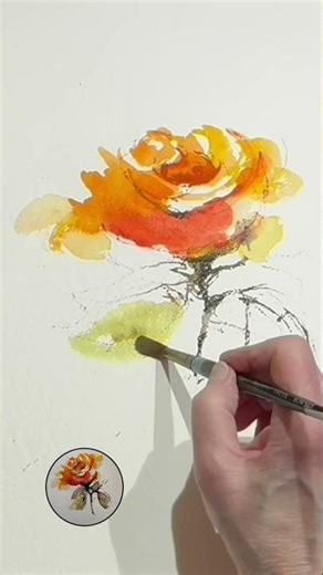 Watch This Golden Rose Bloom
