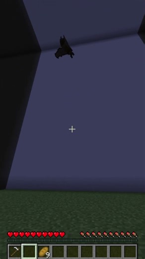 The Joker ended up in the Matrix #minecraft #gaming #joker