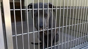 1.1K views · 55 reactions | NO LONGER LISTED Status: RED due to...