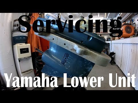 How to Service a Yamaha Lower Unit Gear Case Impeller Driveshaft Seals