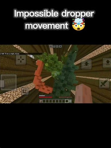 Survived the IMPOSSIBLE Minecraft Dropper!