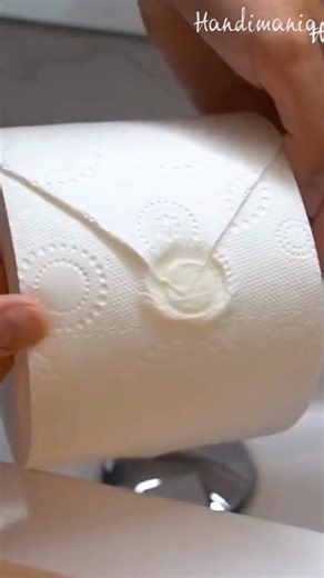 The best way to fold toilet paper so it looks like it's from a hotel! 🤩🧻 | Handimania
