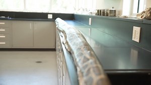 The Conservancy of Southwest Florida documented the longest Burmese python ever caught in Florida. On Wednesday, the serpent was found in Big Cypress National Preserve in Ochopee, measuring 19 feet and weighing 125 pounds, according to the conservancy's website. The previous record was held by a python measuring 18 feet and 9 inches. https://tinyurl.com/mu7akzch | KABB FOX 29 News, San Antonio