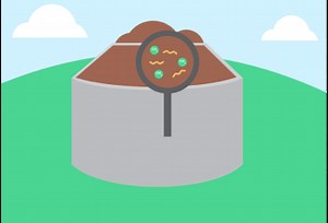 What is Biomass Energy?