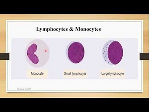 White blood cells Topic 1 (Cashirkii 1aad)