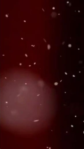 christmas intro 🎄🍓❤️