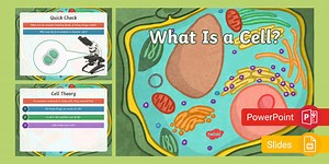 What Is a Cell? PowerPoint & Google Slides for 6th-8th Grade