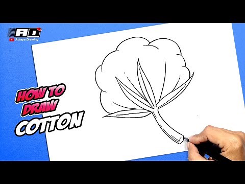 How to draw Cotton