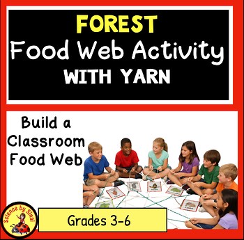 Forest Food Web Activity | Hands-On Food Chain Simulation With Yarn (Gr.3-6)