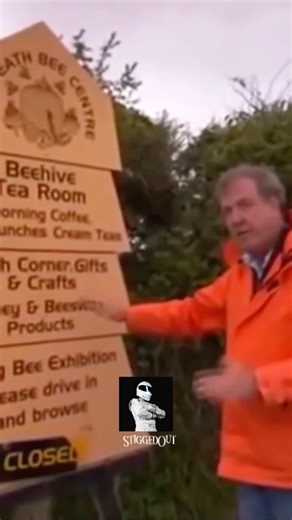 They Aren’t Bees? 🐝 🐑 #topgear