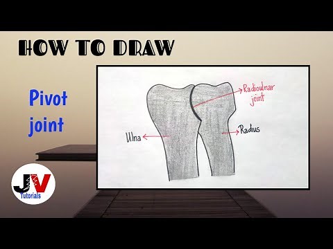 Pivot joint diagram| pivot joint drawing| pivotal joint drawing|how to draw pivot joint