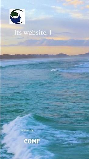 What is Wikileaks? | International Whistleblower Organization Explained