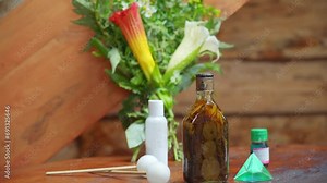 Medicinal plants with angel's trumpet (Floripondio or Brugmansia arborea) and natural herbal remedies in a rustic wood cabin
