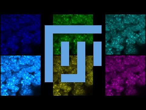 How to Change Microscope Image Color in Fiji (ImageJ)