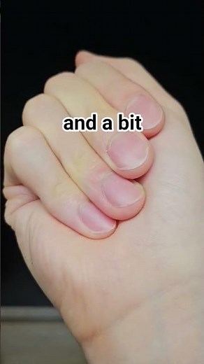 life cycle of an isopod