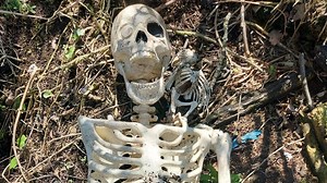 ‘Human bones’ garden find was toy pirate skeleton with parrot