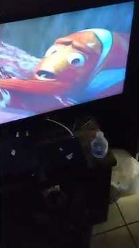 finding Nemo Full screen DVD inside the whale