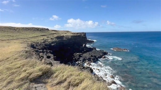 Canadian tourist survives after driving off cliff in Hawaii