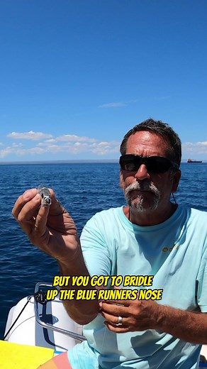 Your Saltwater Guide on TikTok