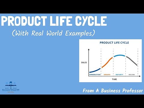 Product Life Cycle (With Real World Examples) | Strategic Management | From A Business Professor
