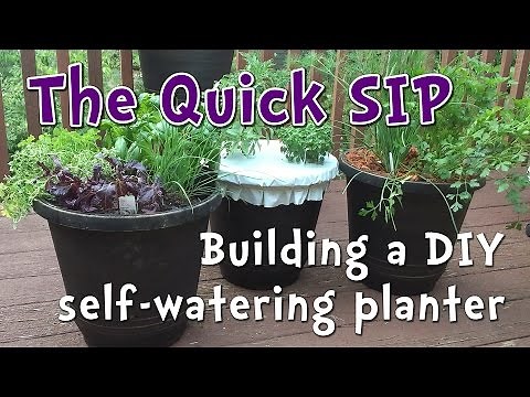 5 minute DIY Self Watering Container Garden - perfect for beginner gardeners and small spaces