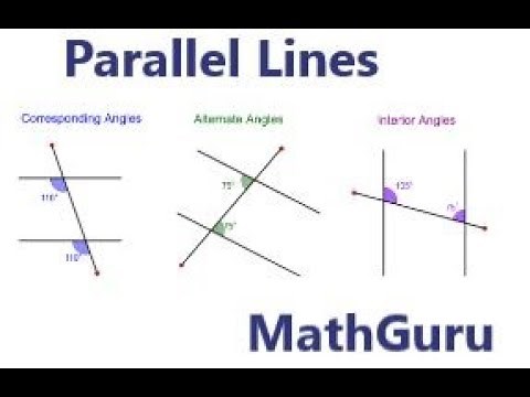 Angles in Parallel Lines Made Easy | Geometry | Grade 8-9